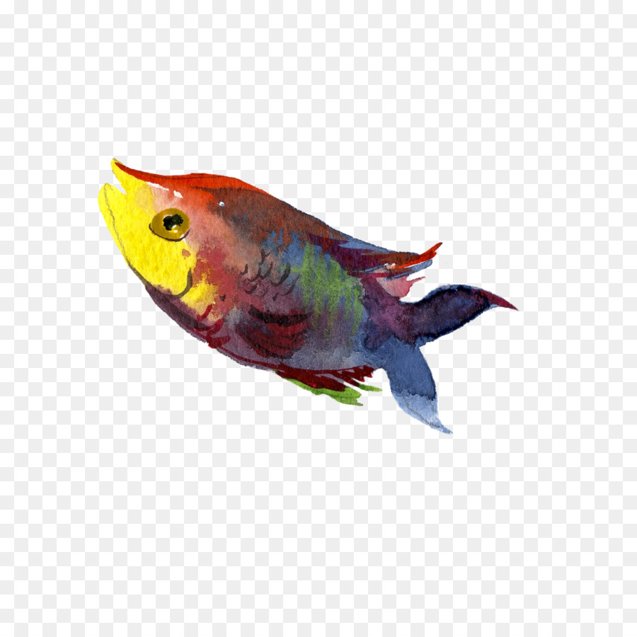 Peixe Pintura Em Aquarela Design Gráfico png transparente grátis