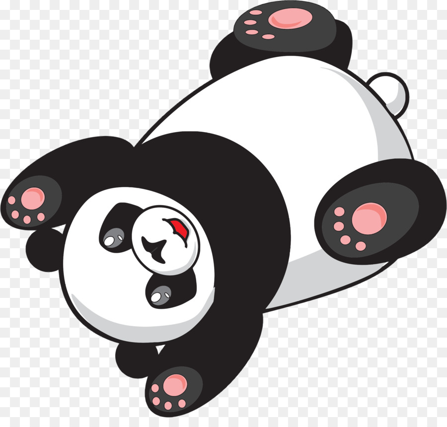 Panda Gigante Panda Vermelho Urso Png Transparente Gr Tis