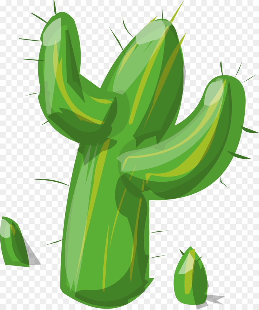 Cactaceae Papel De Parede Da Rea De Trabalho Saguaro Png