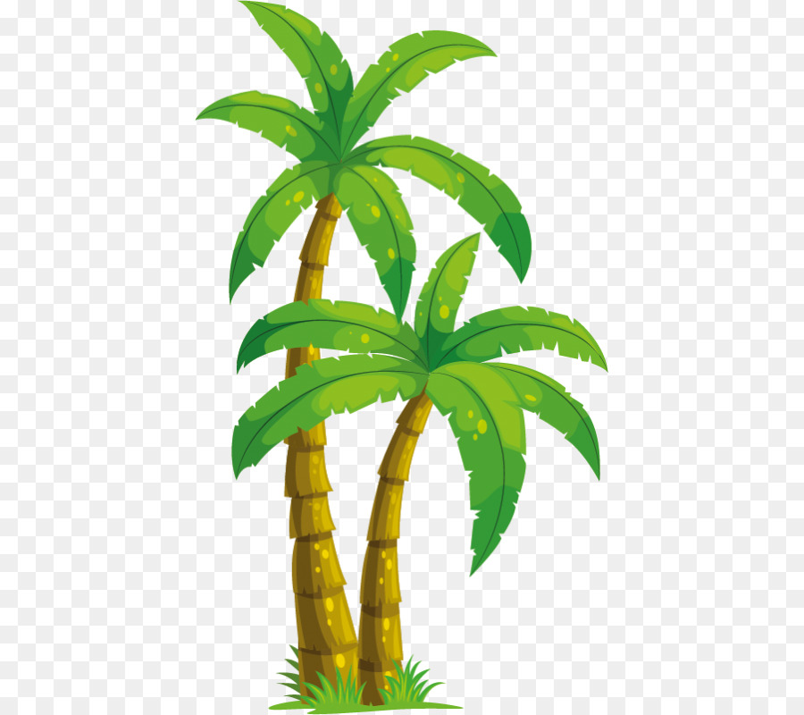 Arecaceae Coco Desenho png transparente grátis