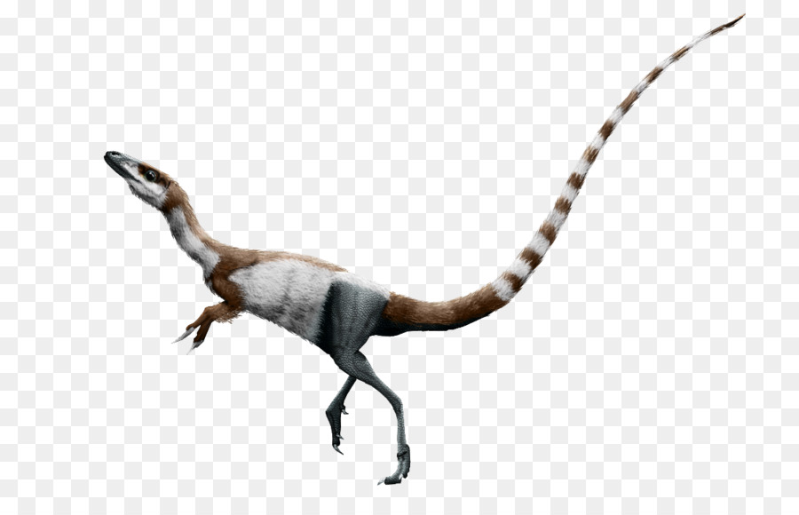 Sinosauropteryx Daspletosaurus Aves Png Transparente Gr Tis