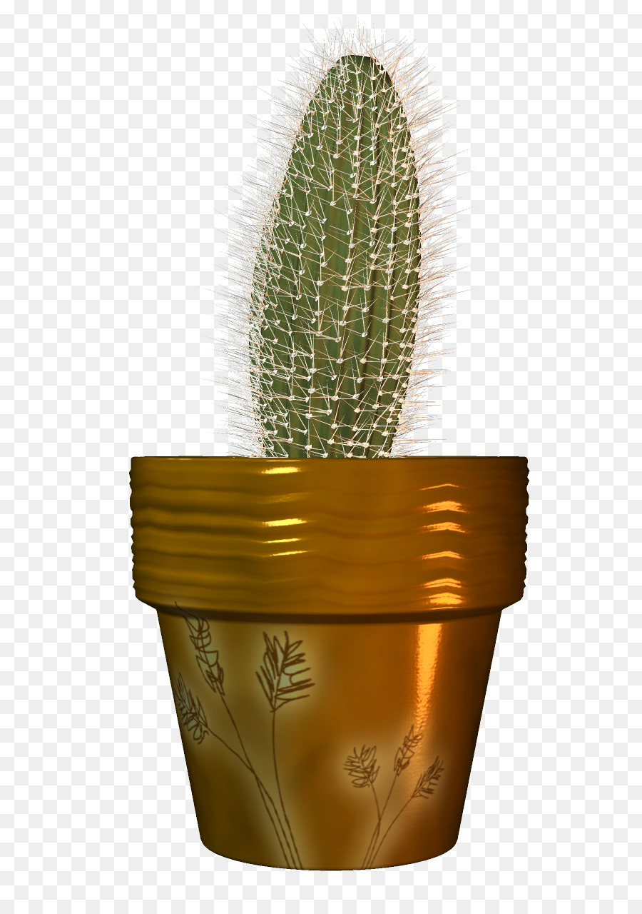 Cactaceae Flowerpot Flor Png Transparente Gr Tis