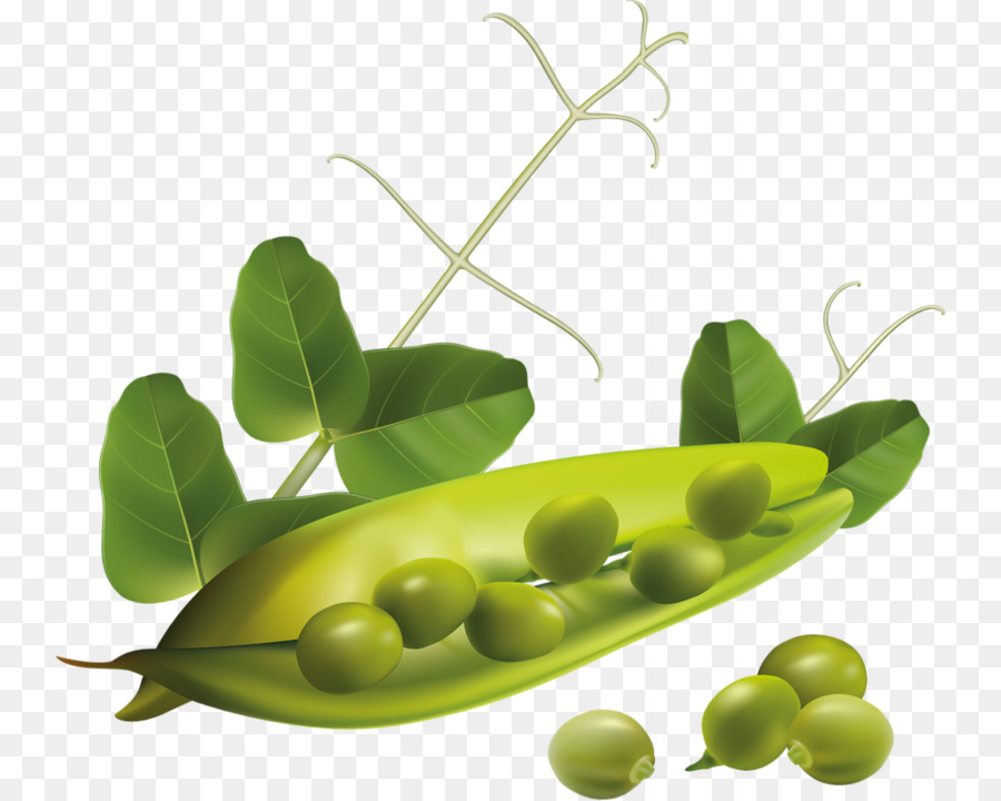 Cozinha Vegetariana Vegetal Ervilhadecheiro Png Transparente Gr Tis