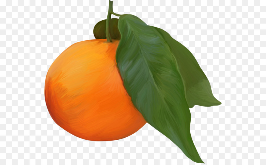 Clementine Laranja Suco De Laranja png transparente grátis