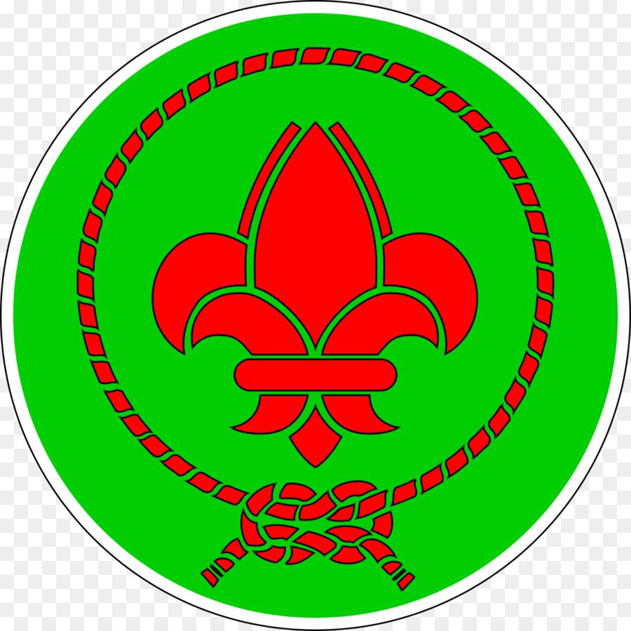 Escotismo Scouts Et Guias De França Organização Mundial Do Movimento