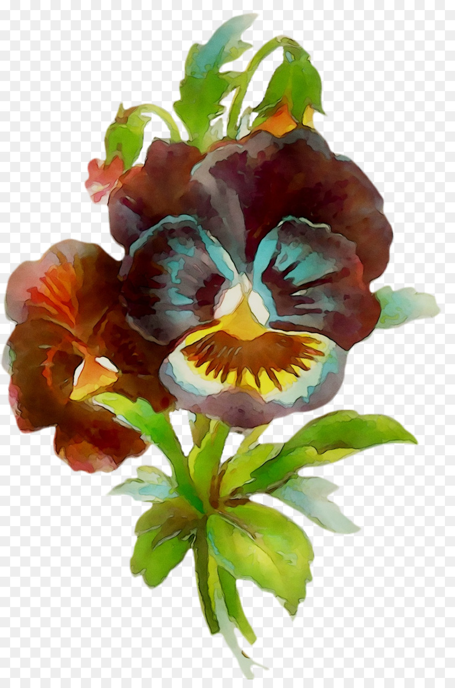 Pansy Flores De Corte Flor Png Transparente Gr Tis