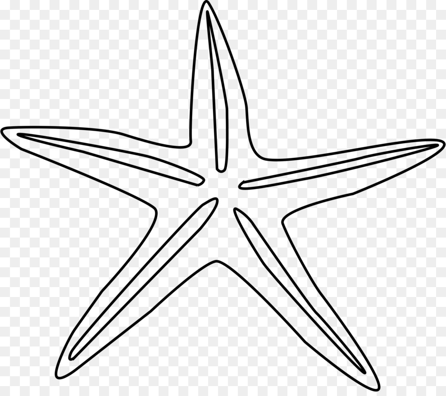 Desenho Estrela Do Mar Echinoderm Png Transparente Gr Tis