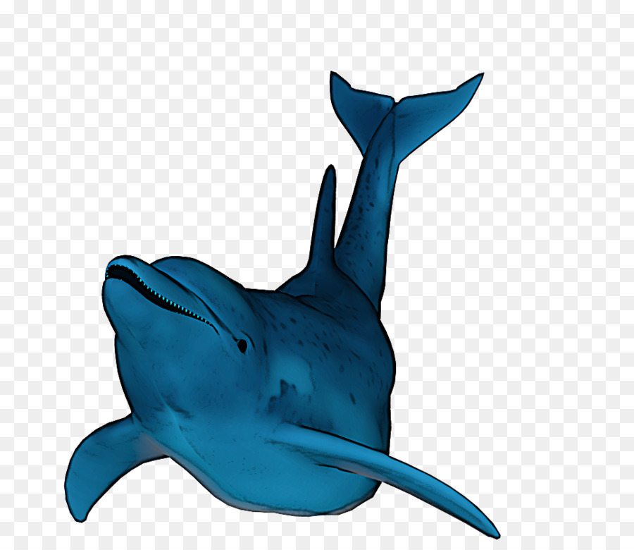 Tubar O Dolphin Peixe Png Transparente Gr Tis