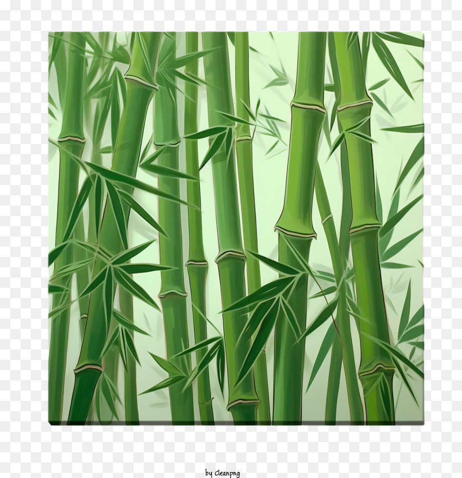 Bambu Verde Rvores Png Transparente Gr Tis