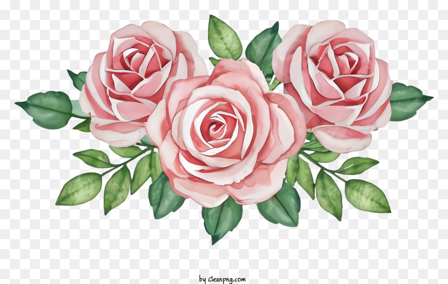 Cartoon Rosas Corderosa Arranjo De Flores Png Transparente Gr Tis