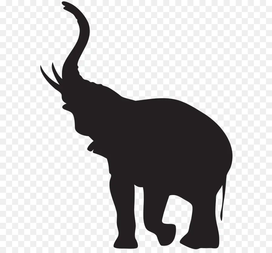 Afro Elefante，Elefante PNG