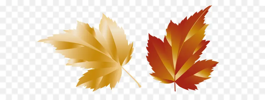 Folha，Maple Leaf PNG