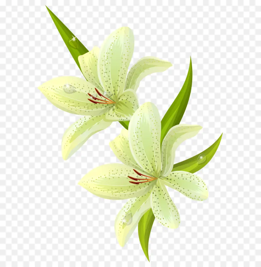 Flor，Decoupage PNG