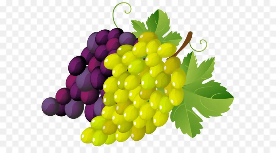 Uvas，Videira PNG