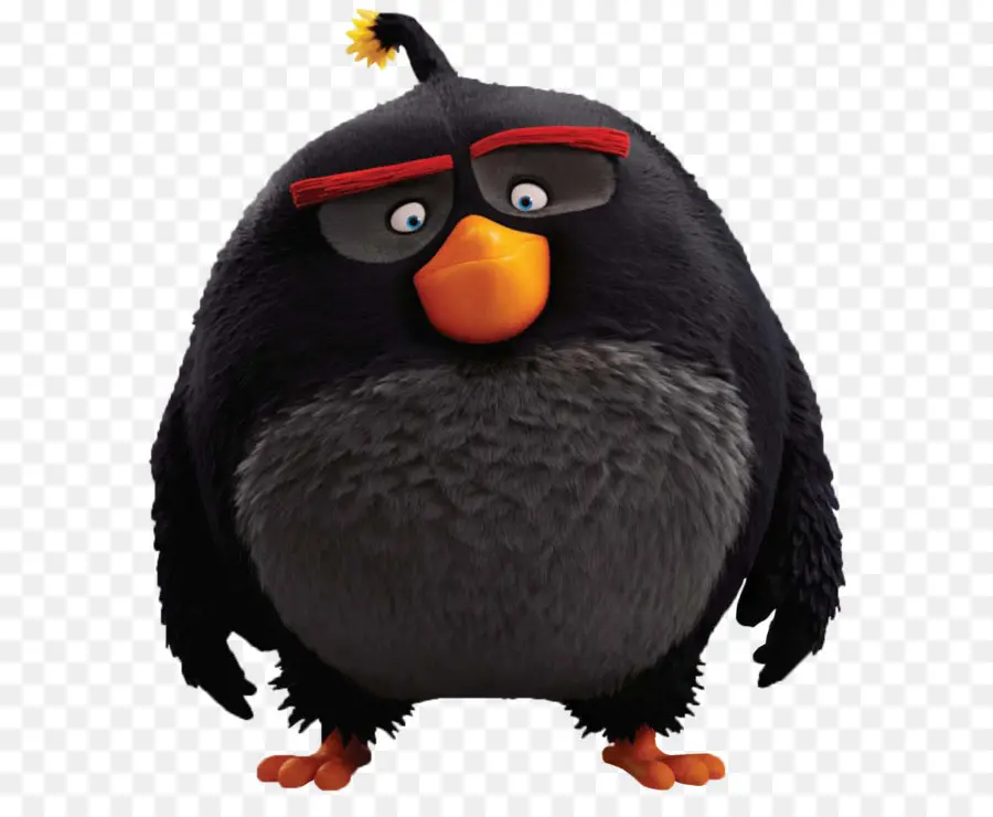 Angry Birds Epic，Aves PNG