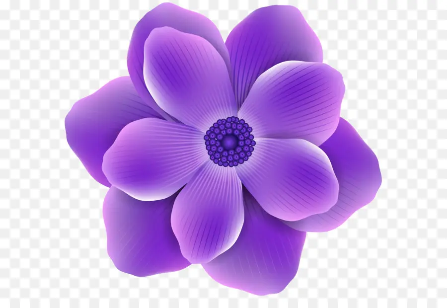 Flor，Roxo PNG