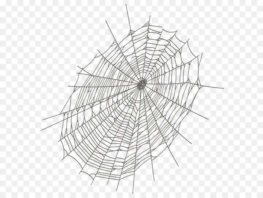 Aranha，Spider Web PNG