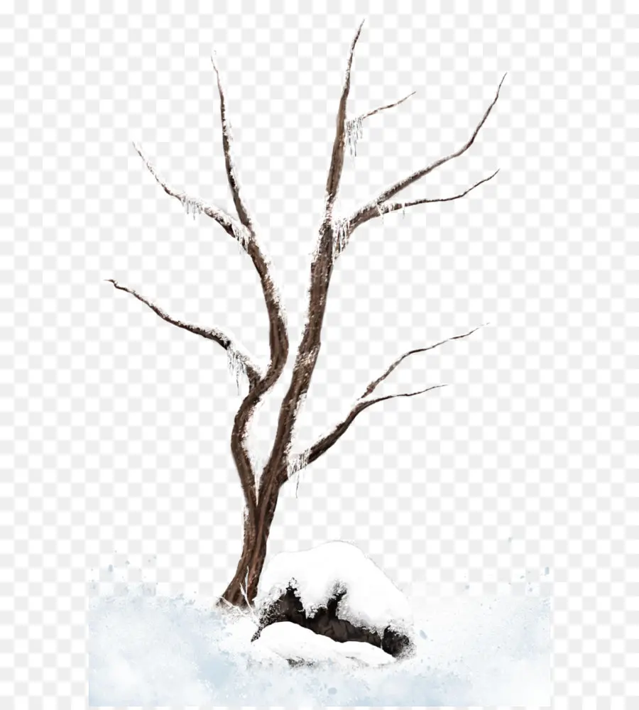 árvore，Neve PNG