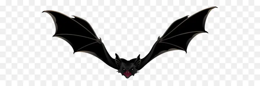 Bat，Halloween Filme Série PNG
