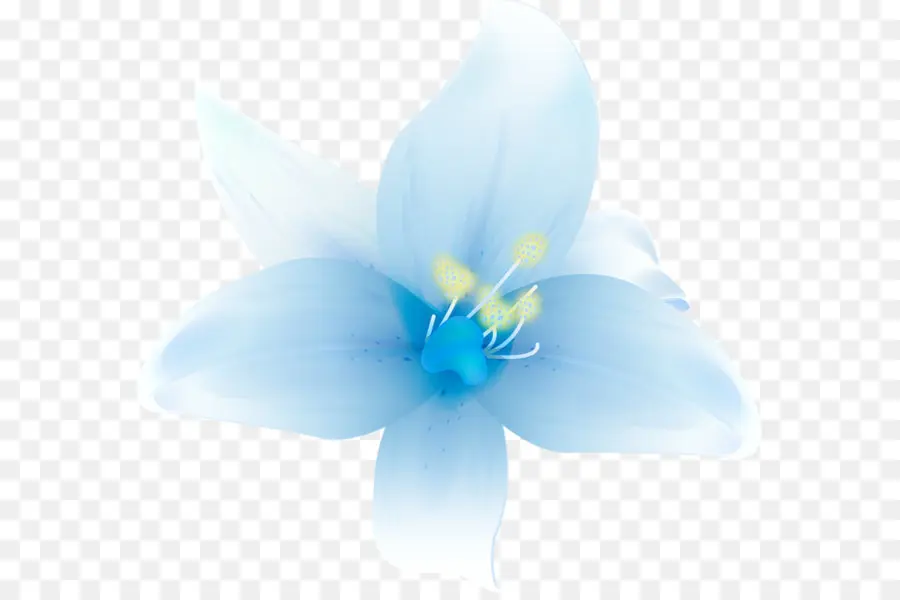 Flor，Floral Design PNG