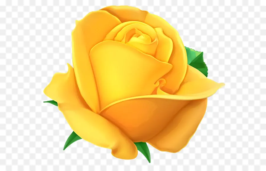 Rosa，Amarelo PNG