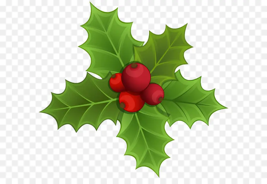 Comum Holly，O Visco PNG