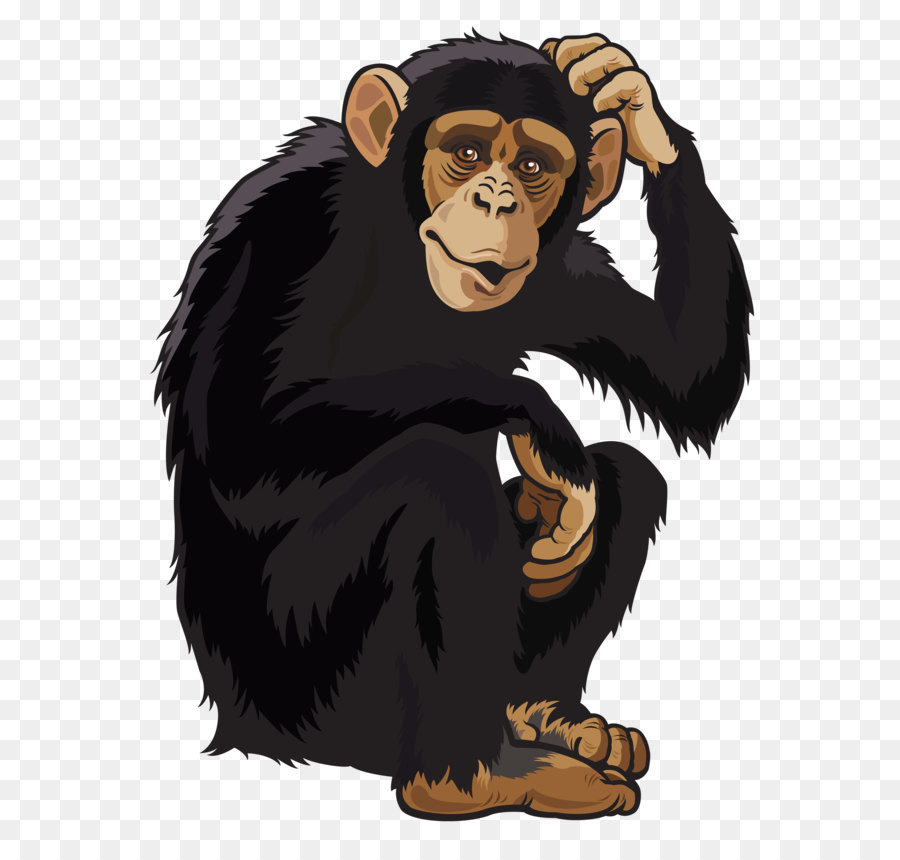 Chimpanzé Macaco Royaltylivre Png Transparente Grátis