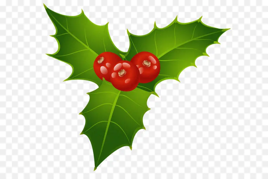 Comum Holly，O Visco PNG