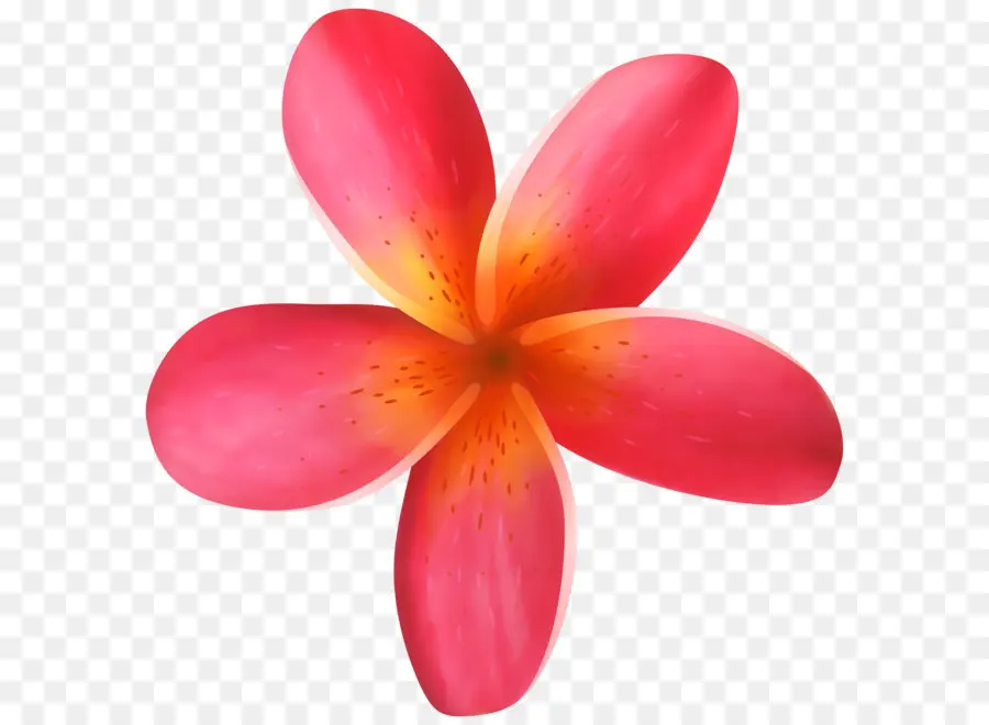 Flor，Computador ícones PNG