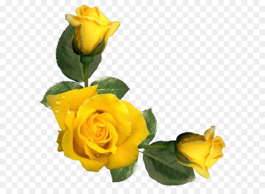 Featured image of post Flor Rosa E Amarela Desenho Png Voc est procurando imagens rosa amarelo flor png hd