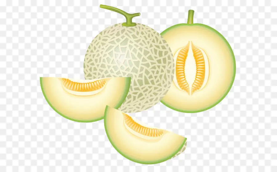 Cantaloupe，Honeydew PNG