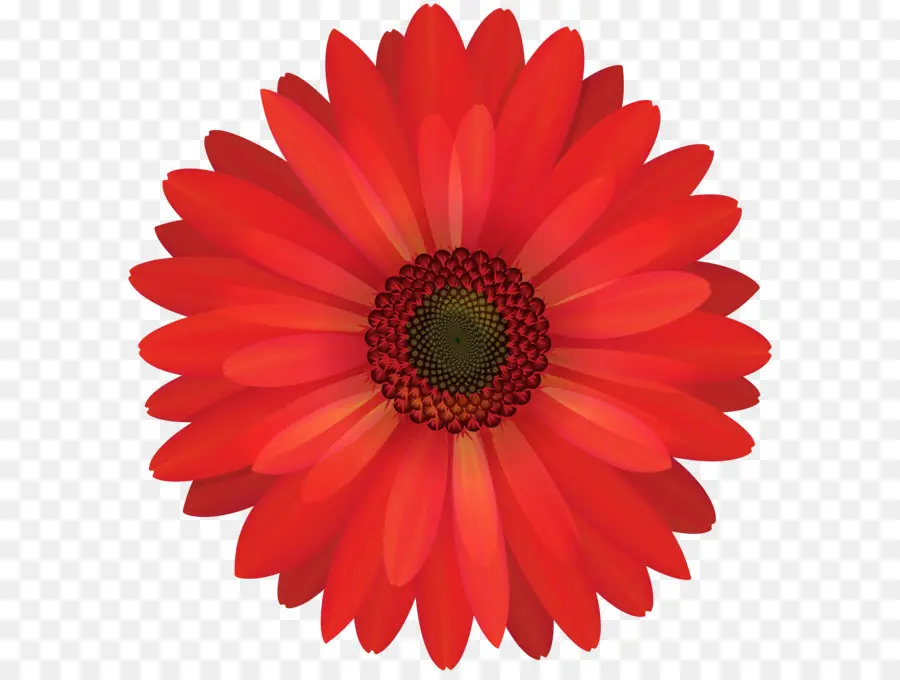 Flor Rosa，Florescer PNG