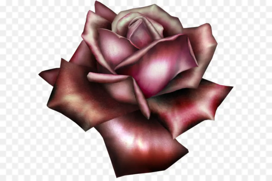 Rosa，Ambiente De Trabalho Papel De Parede PNG