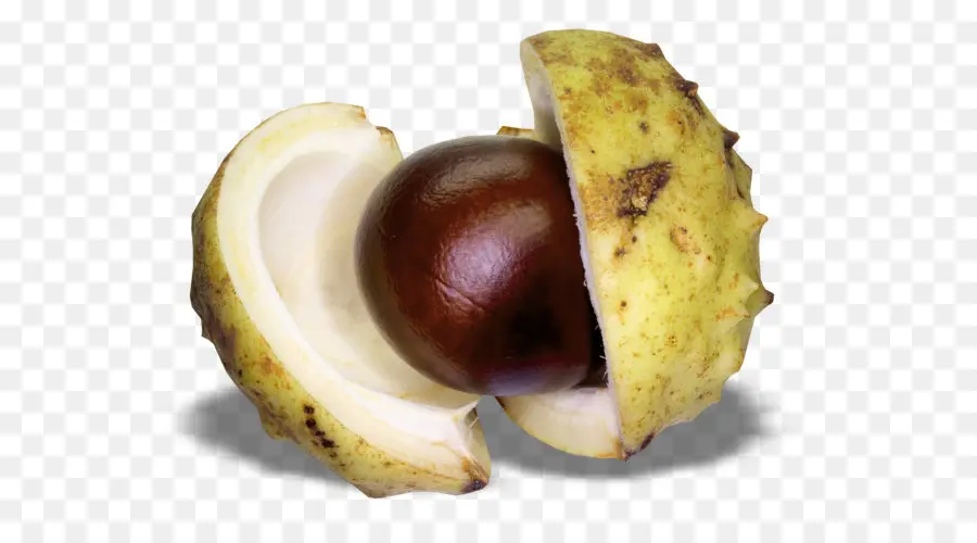 Doce De Castanha，Fotografia De Stock PNG