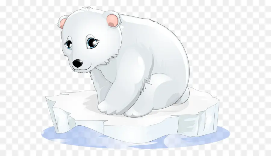 Polar Urso，Urso PNG