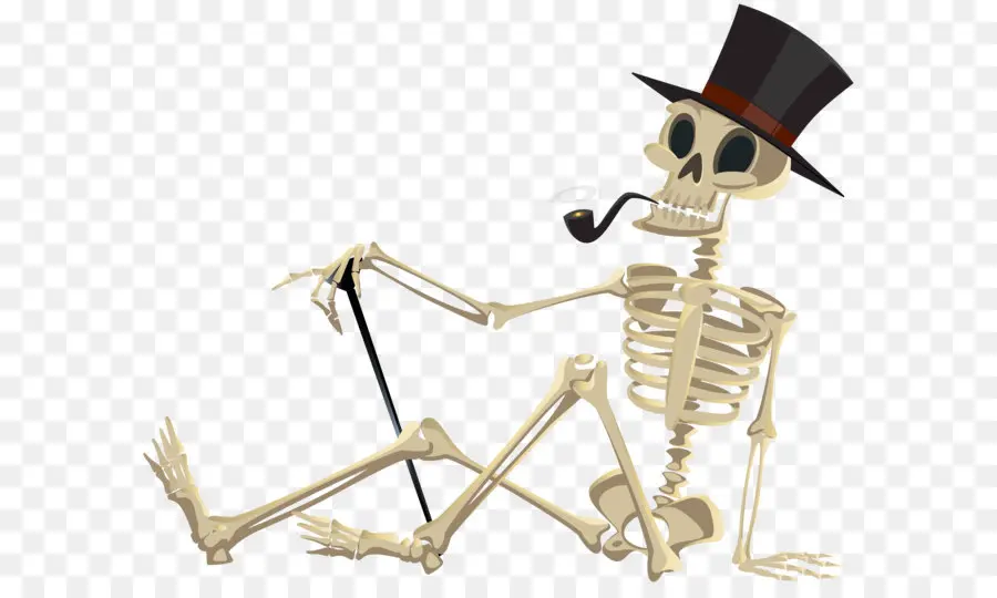 Esqueleto，Humano Esqueleto PNG