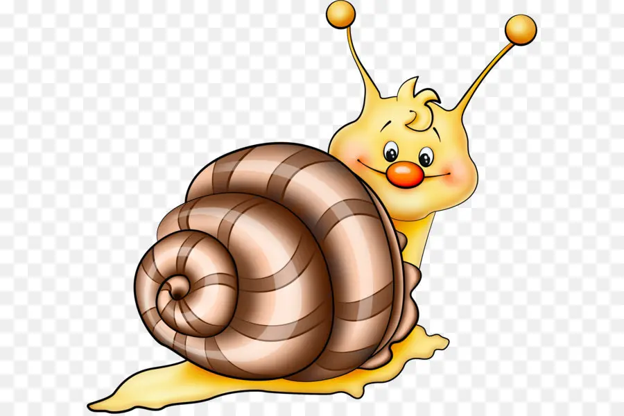 Caracol，Cartoon PNG