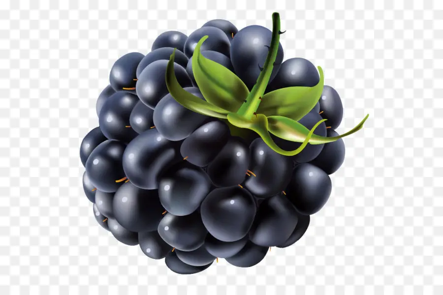 Blackberry，Telemóveis PNG