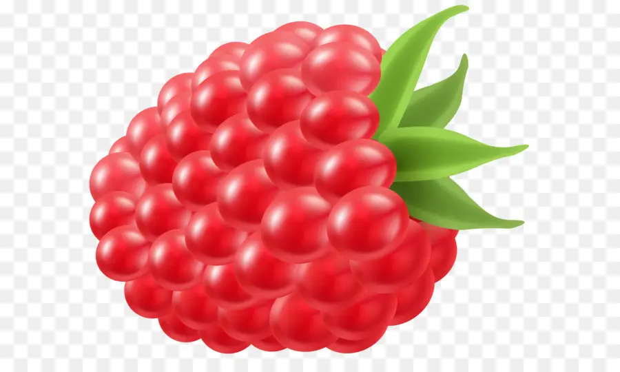 Framboesa，Berry PNG