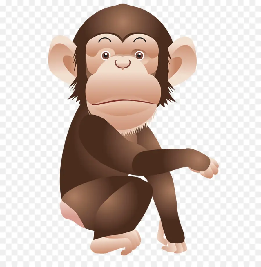 Chimpanzé，Ape PNG