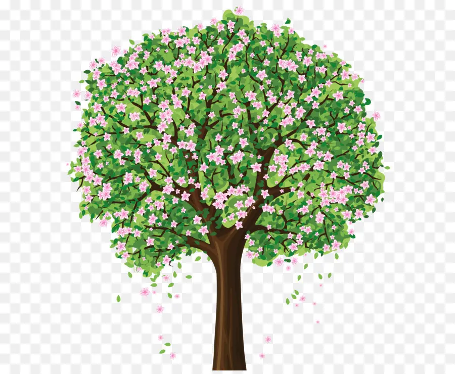 árvore，Primavera PNG