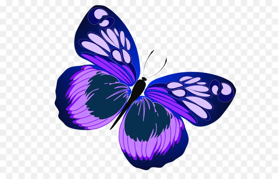 Borboleta，Roxo PNG