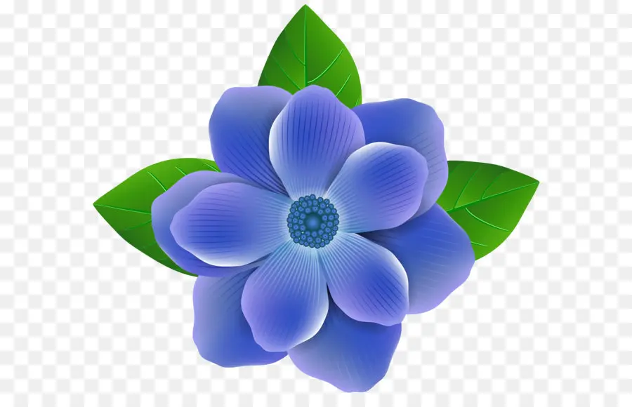 Flor，Azul PNG