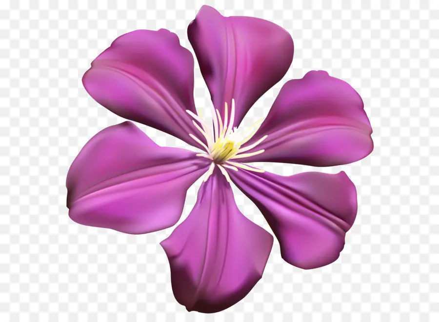 Flor，Roxo PNG