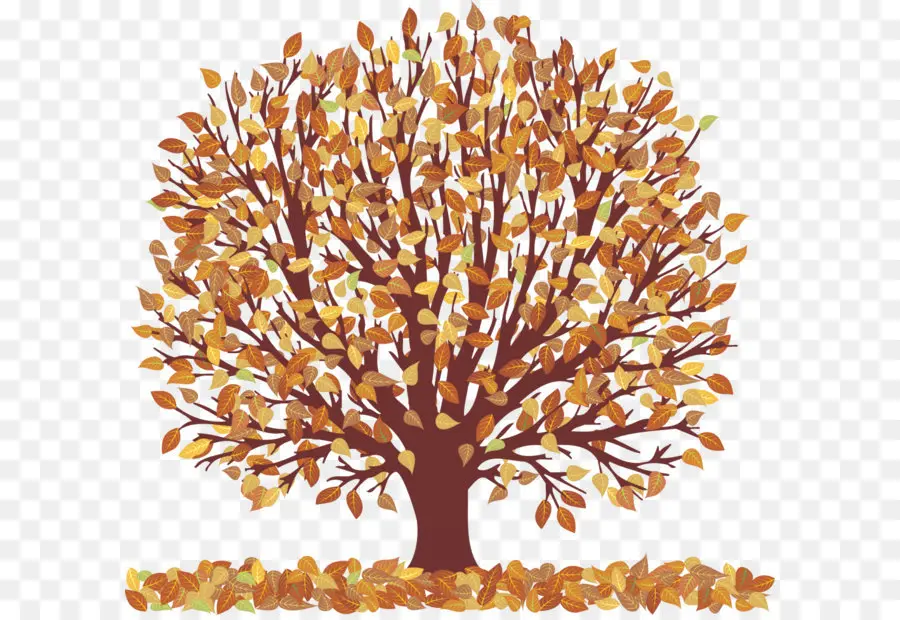 Outono，árvore PNG