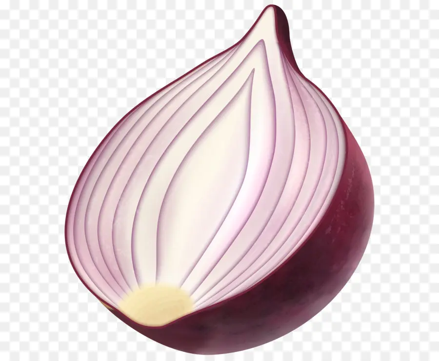 Vermelho Cebola，Cebola PNG