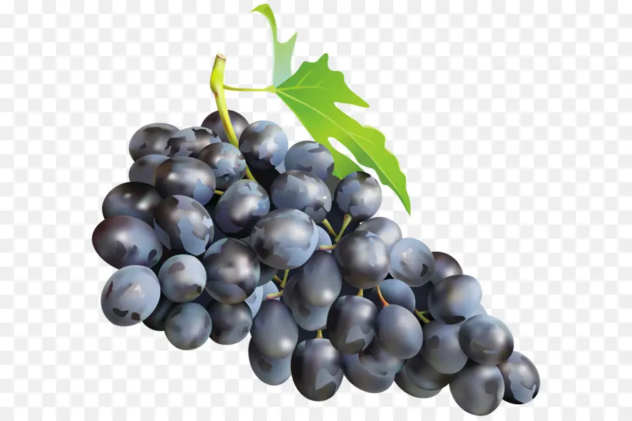 Muscadine Uva，Vinho PNG