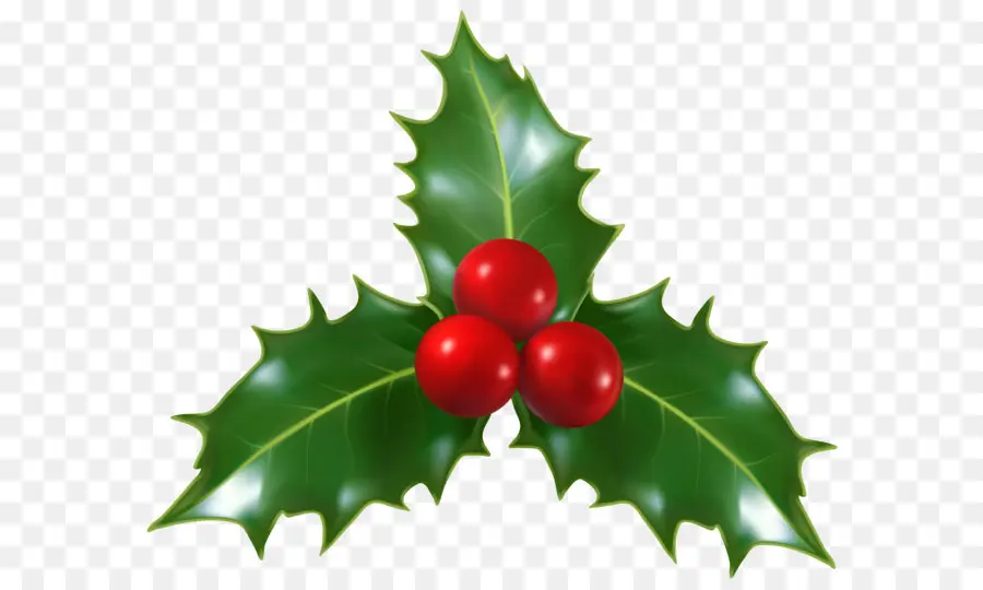 Comum Holly，O Visco PNG