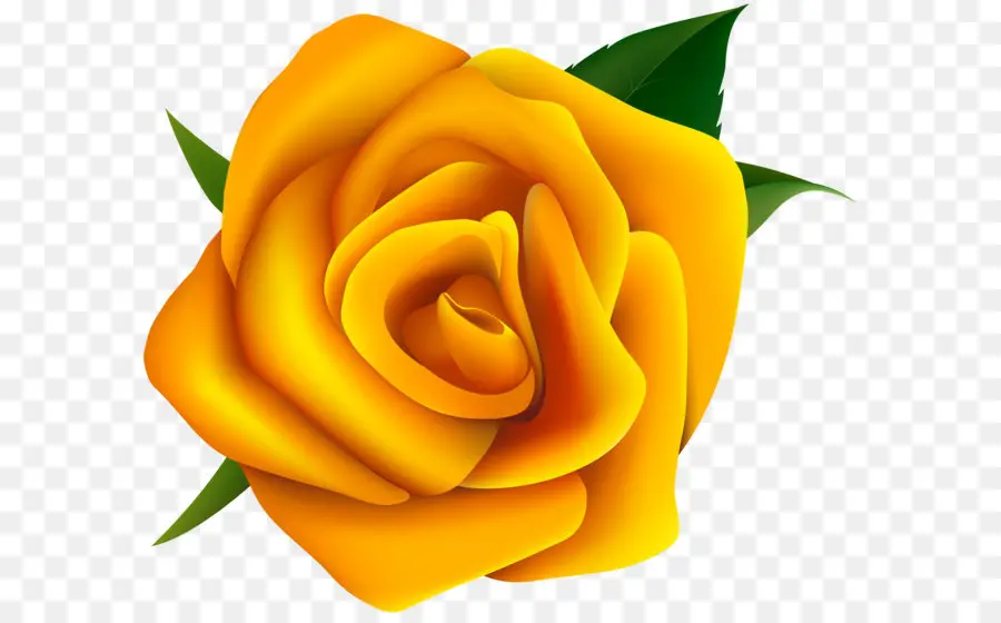 Rosa，Amarelo PNG