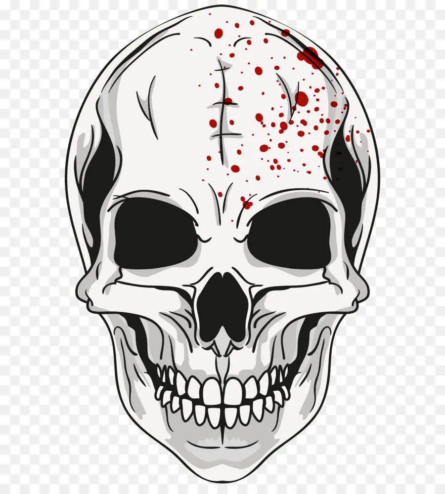 Calavera，Crânio PNG